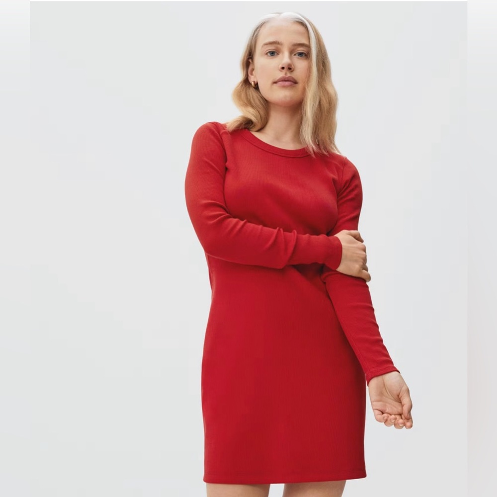 Everlane Ribbed Mini Dress - Ruby, XL